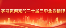 學習貫徹黨的二十屆三中全會精神
